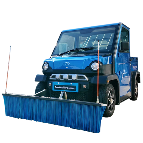 ���ڽ�Ƽ�� - ��ī�� (Ư������)