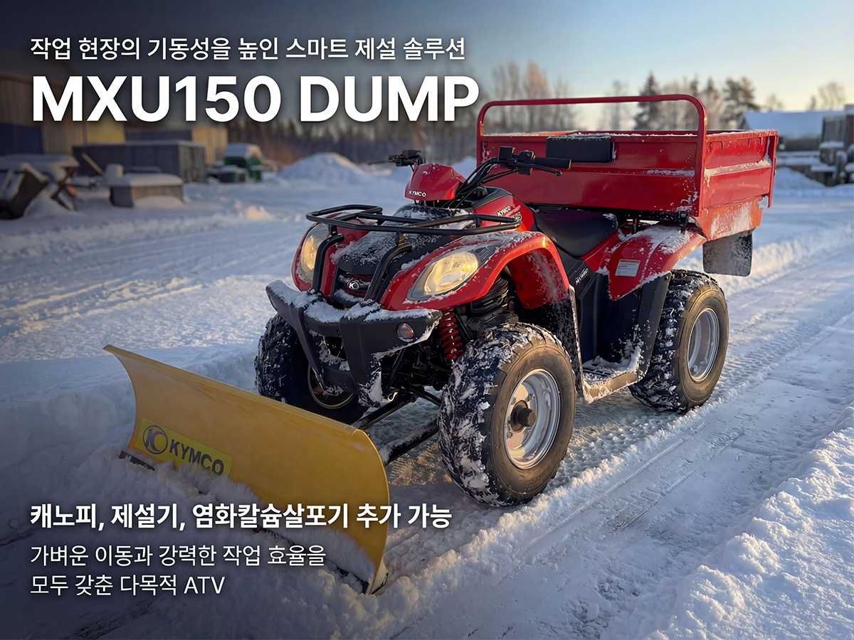 ����� ���ι�� 6